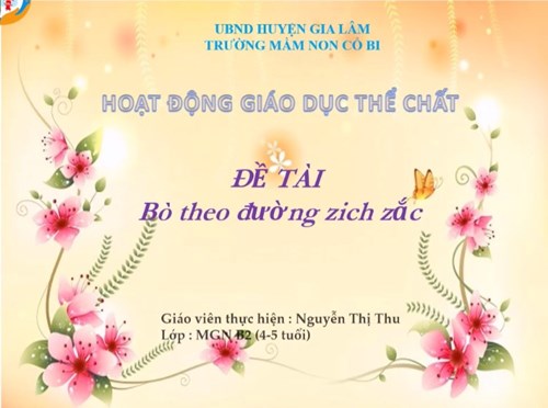 Lĩnh vực phát triển thể chất